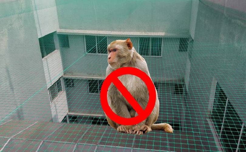 Monkey Safety Nets In Bangalore